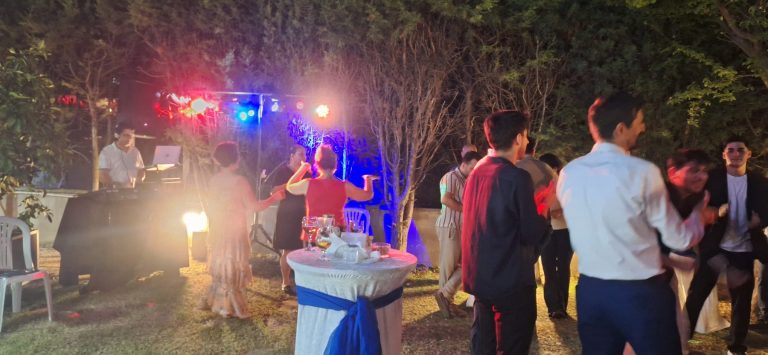 Parti Organizasyonları