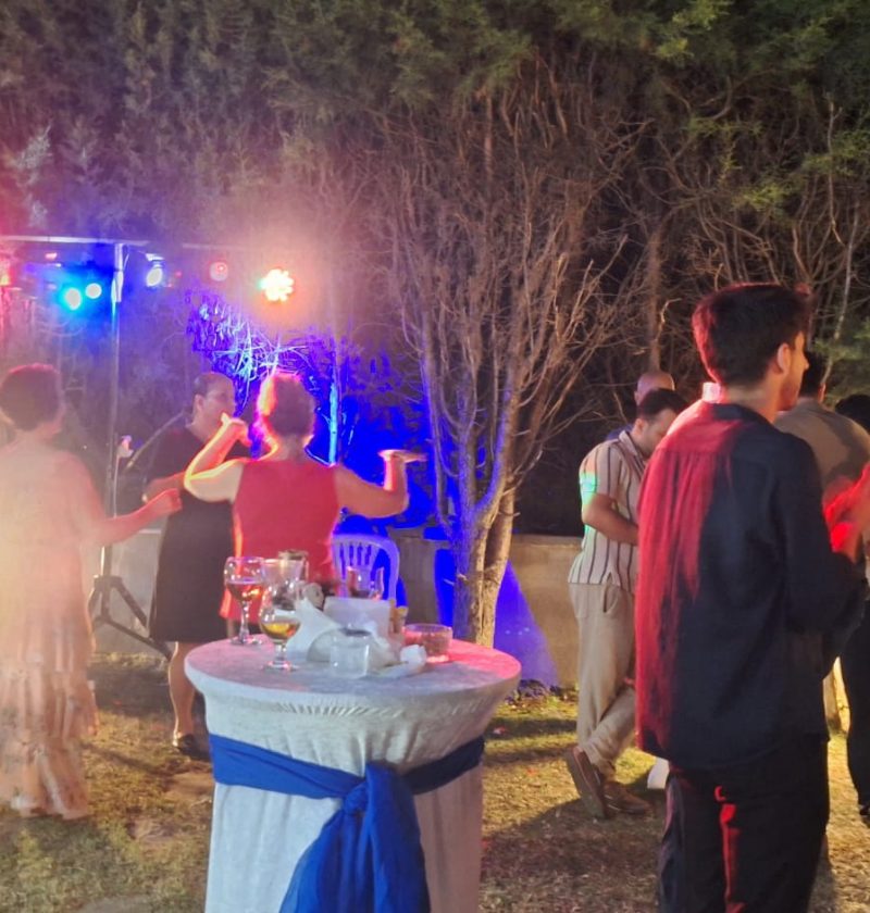 Parti Organizasyonları